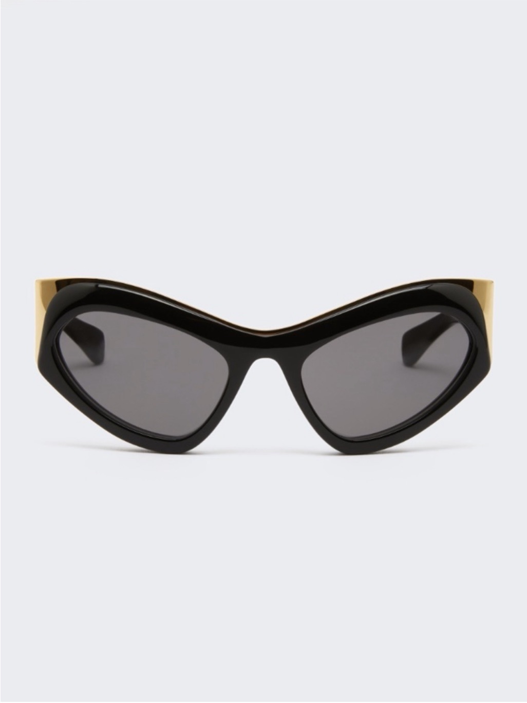 Maxmara Women's Cat-Eye Sunglasses